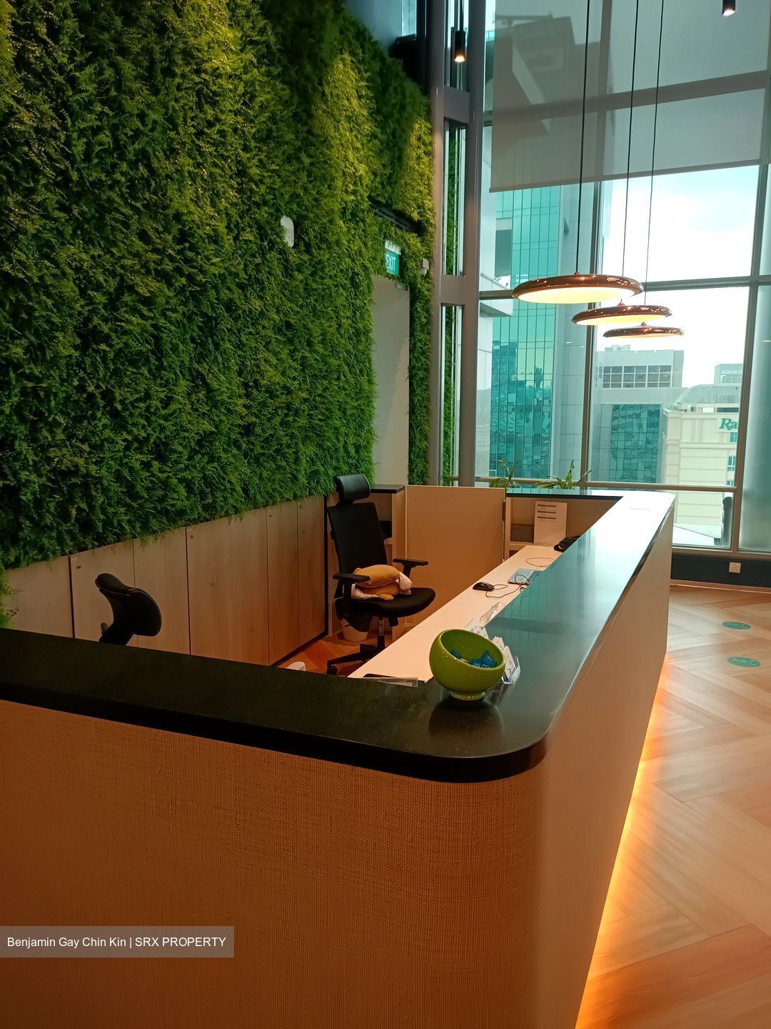 Bugis Junction (D7), Office #541919131